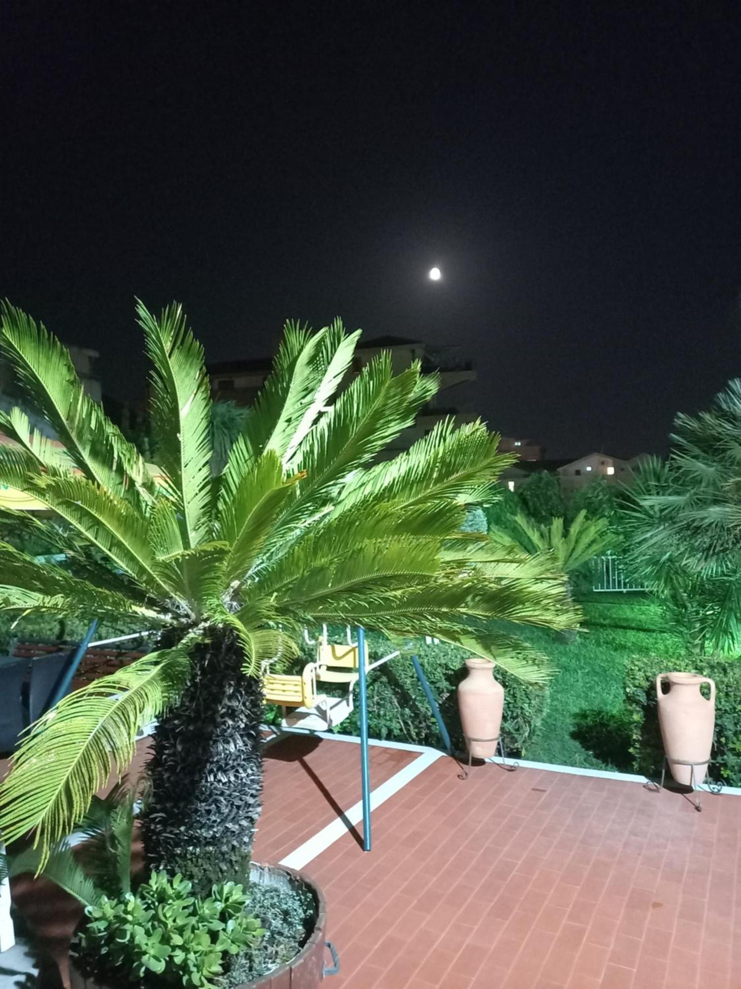 Vila L Budva Hotell Eksteriør bilde